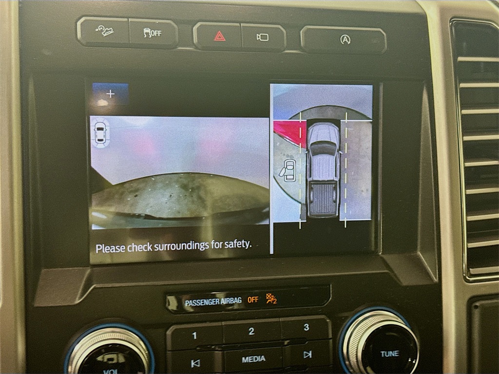 Photo of 2020 Ford F-150 Platinum in Myrtle Beach, SC - 14,  2020 Ford F-150 Platinum:3871H