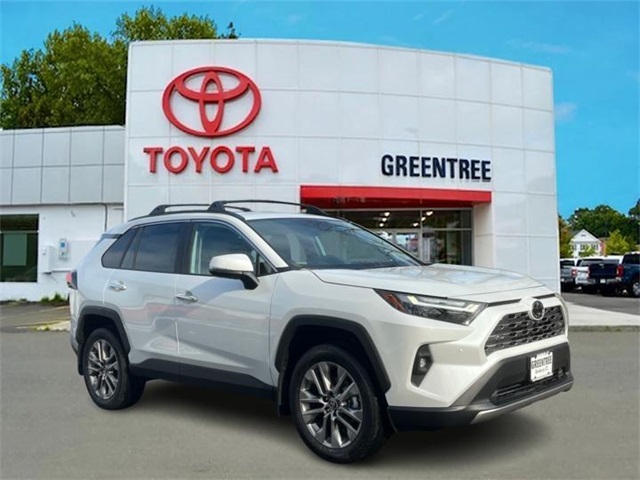 2025 Toyota RAV4 Limited's photo