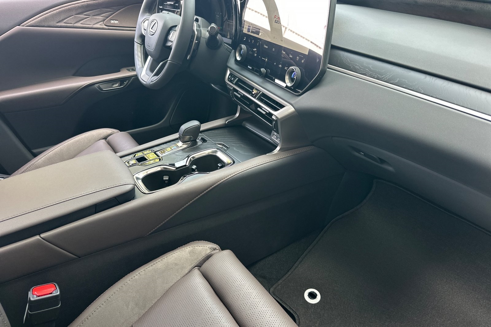 2025 Lexus RX 350h Luxury AWD photo 13