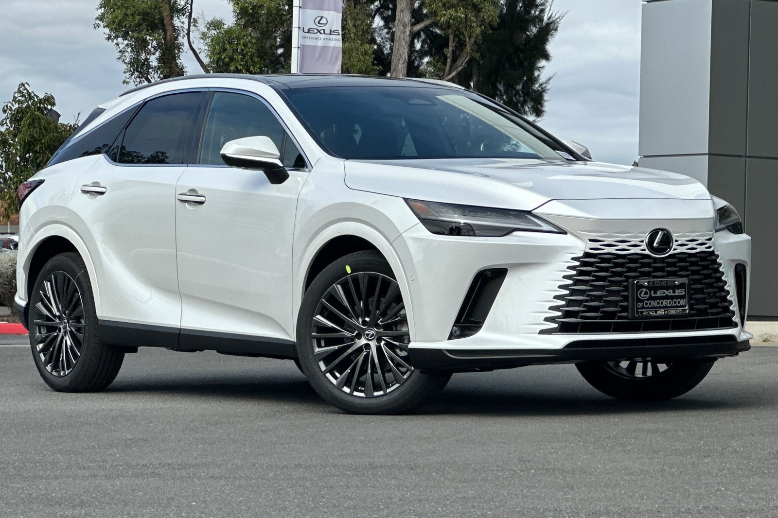2025 Lexus RX 350h Luxury AWD photo 2