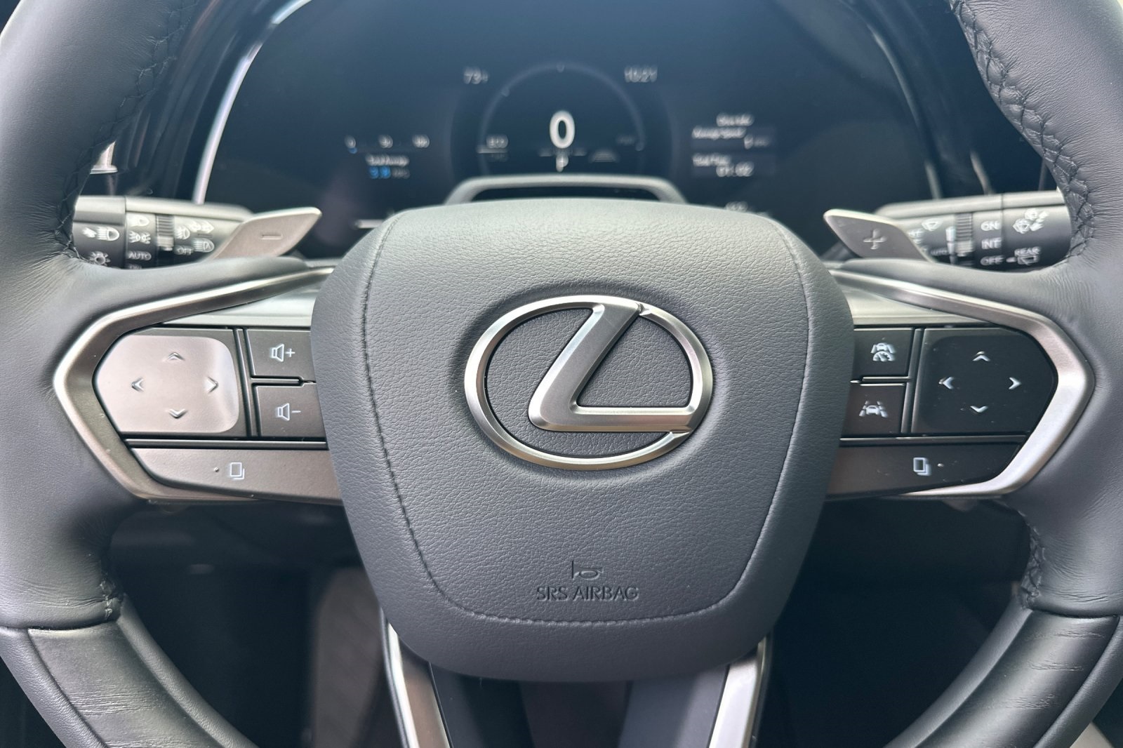 2025 Lexus RX 350h Luxury AWD photo 19