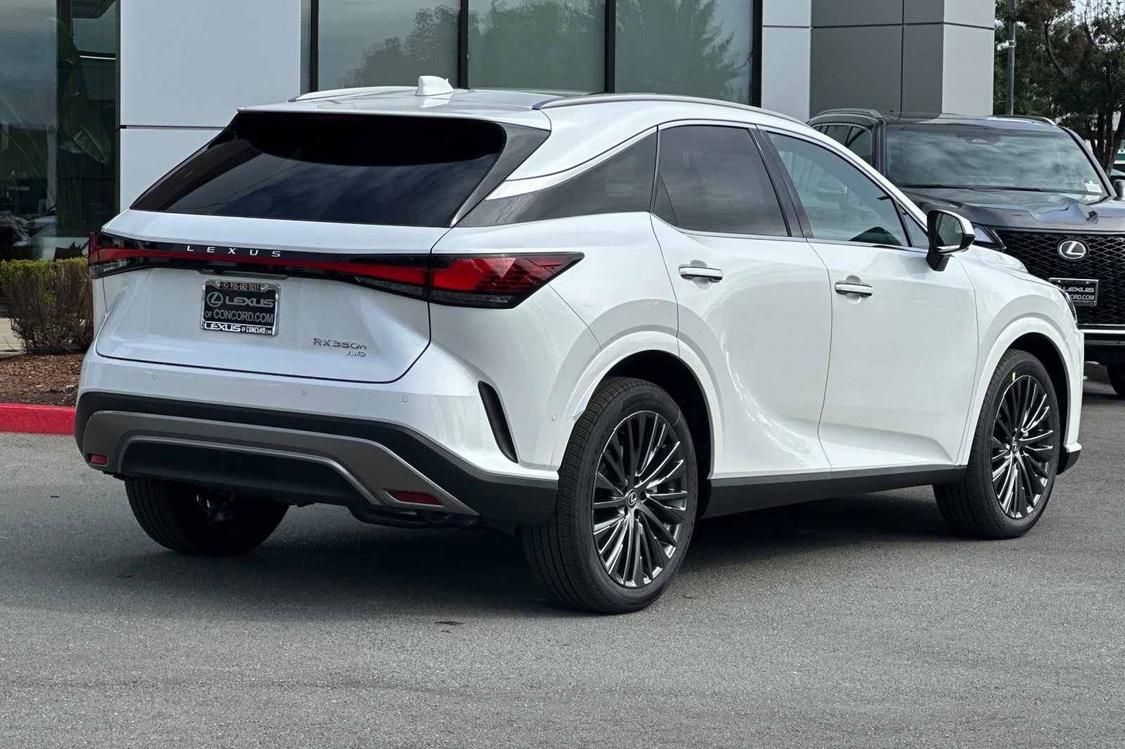 2025 Lexus RX 350h Luxury AWD photo 4