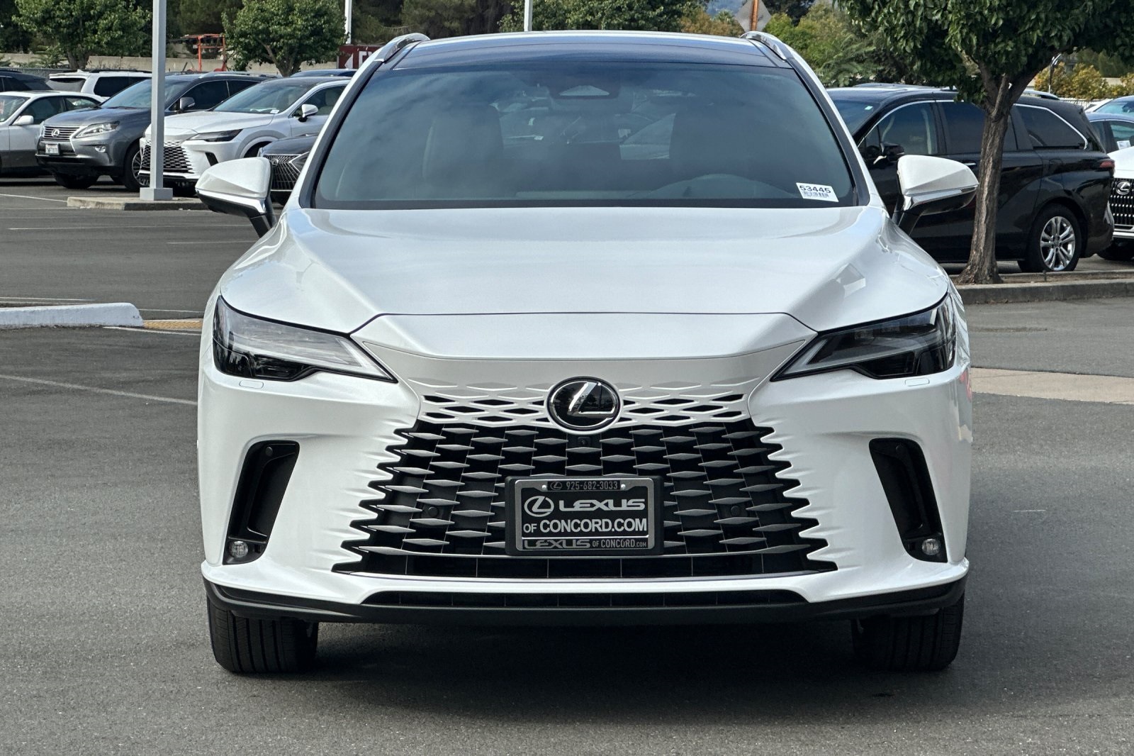 2025 Lexus RX 350h Luxury AWD photo 6