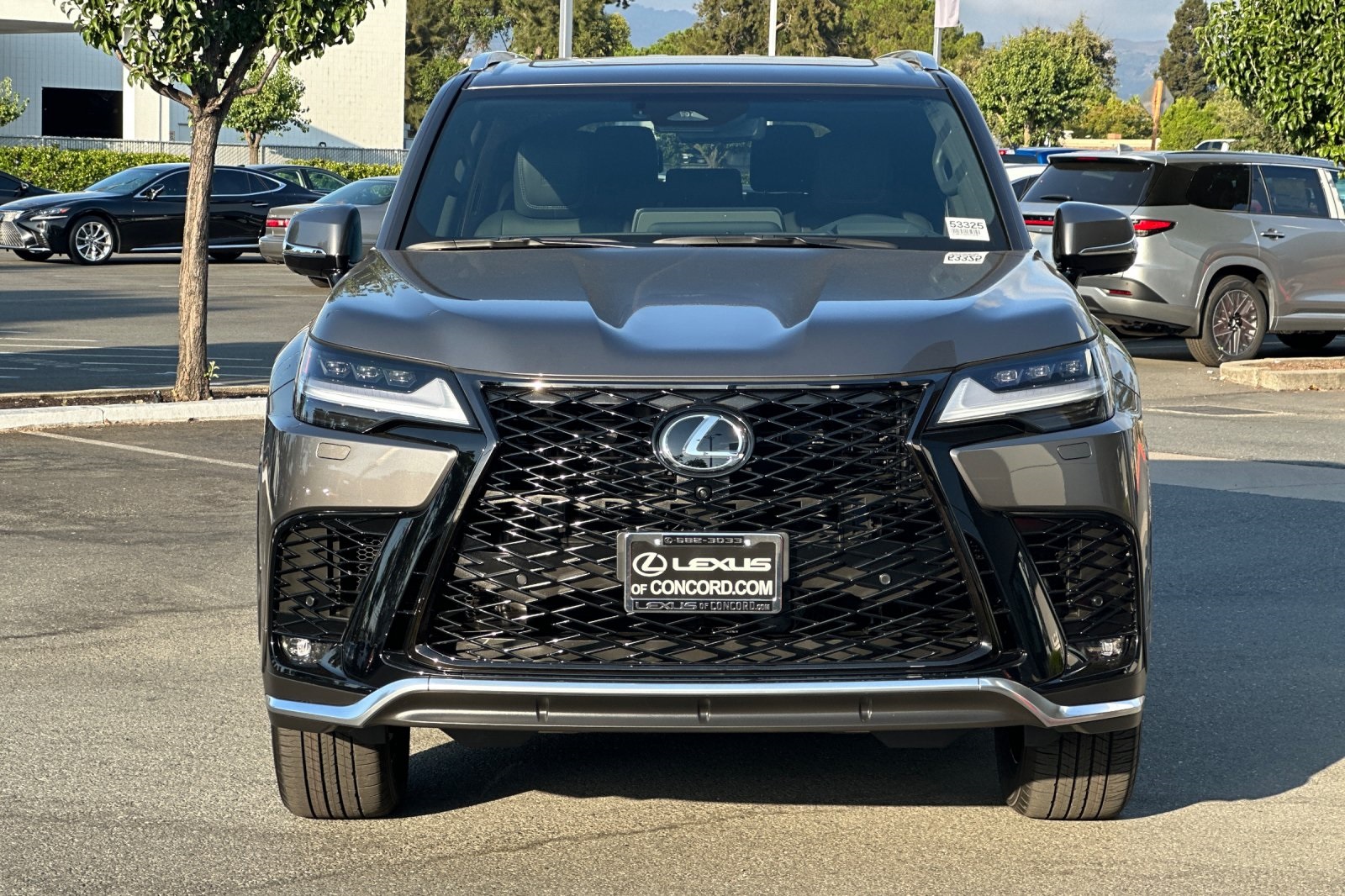 2025 Lexus LX F SPORT Handling photo 6