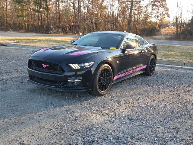 2017 Ford Mustang GT's photo