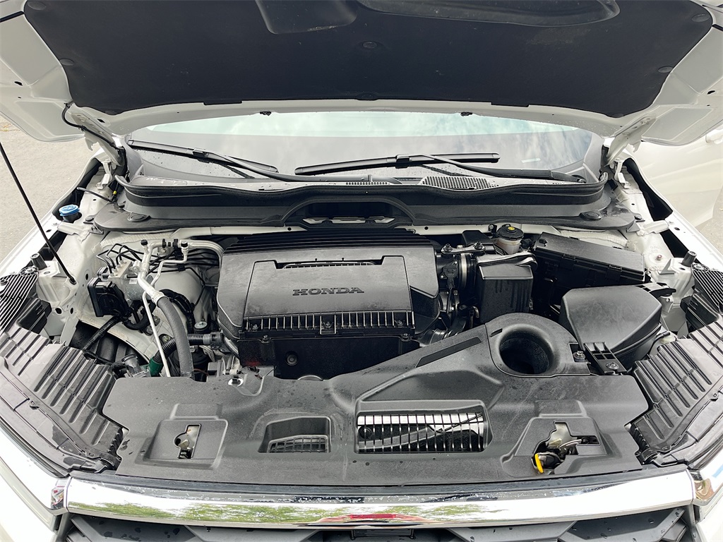 2025 Honda Pilot EX-L Sport photo 30
