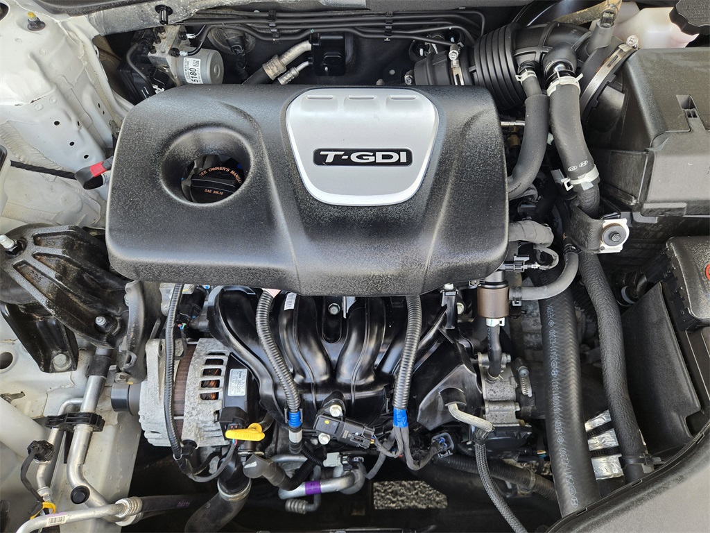 View 29
