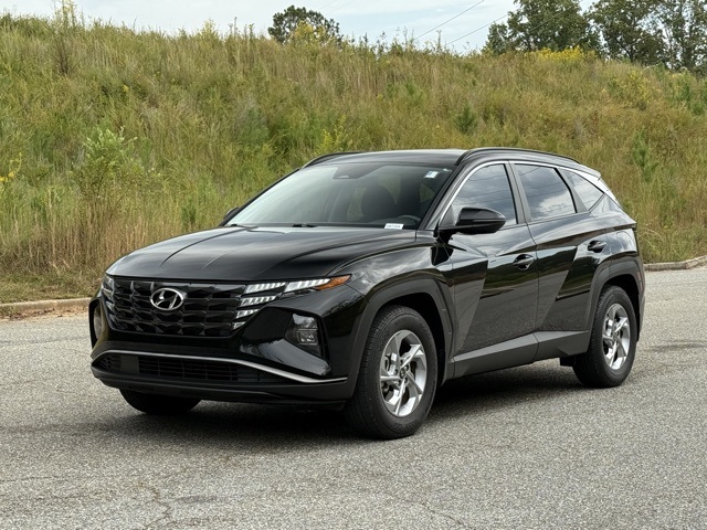 Image-1