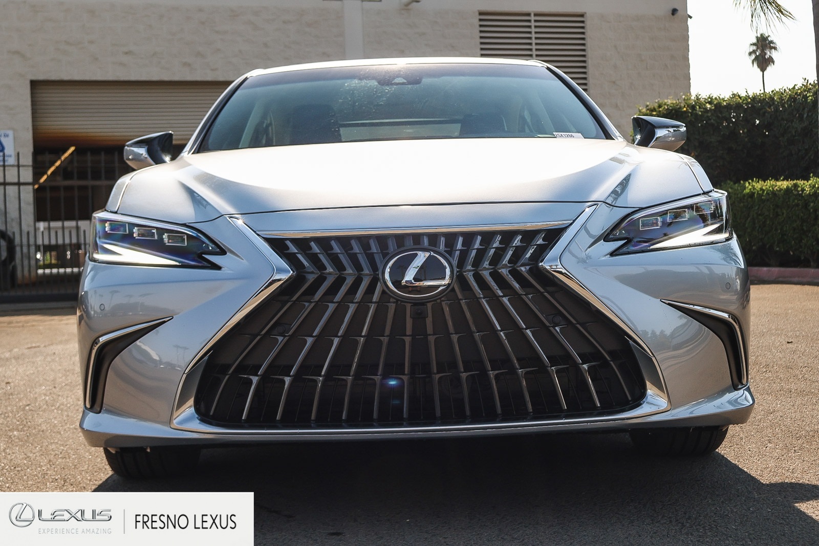 2025 Lexus ES 300h Luxury photo 2