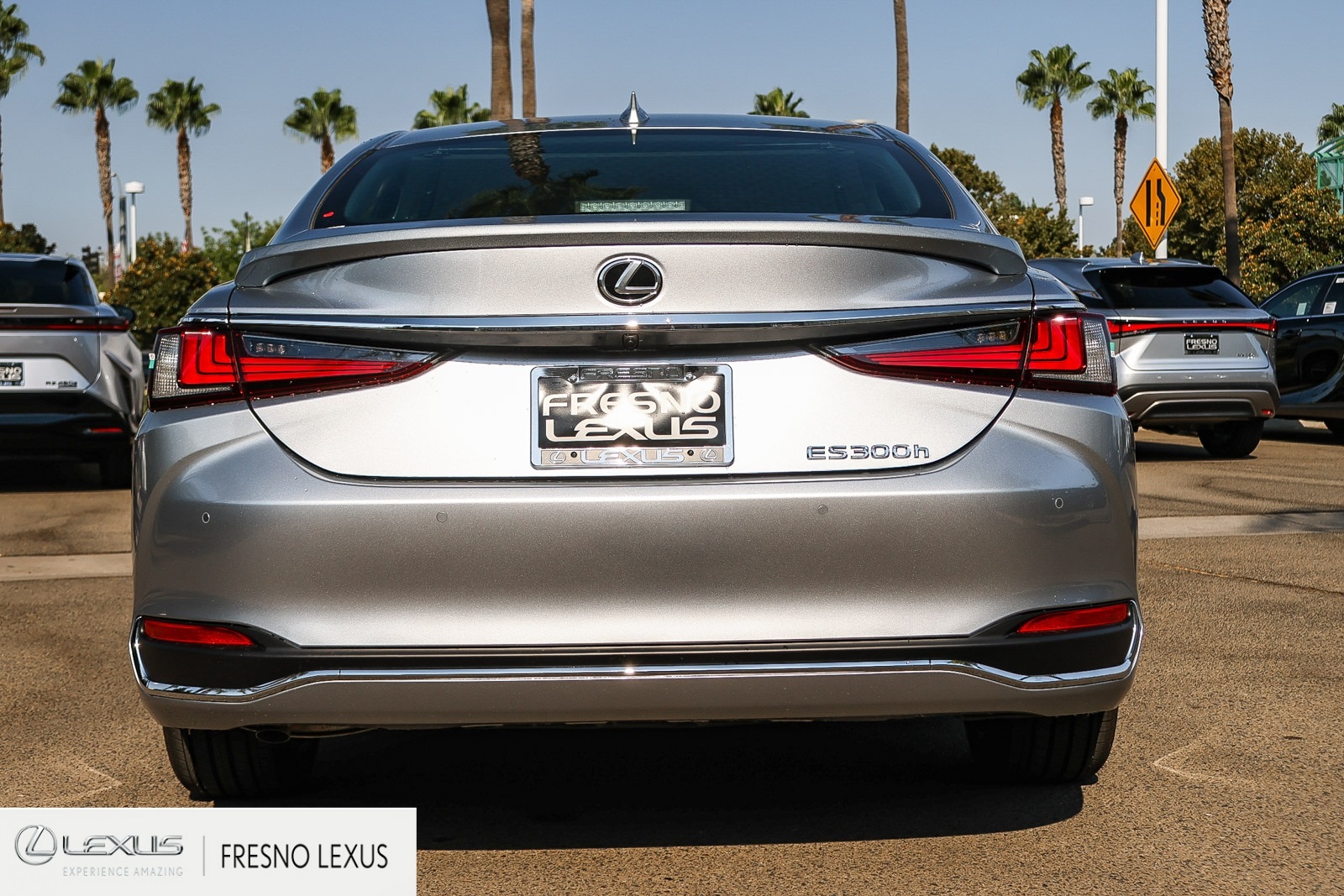 2025 Lexus ES 300h Luxury photo 5