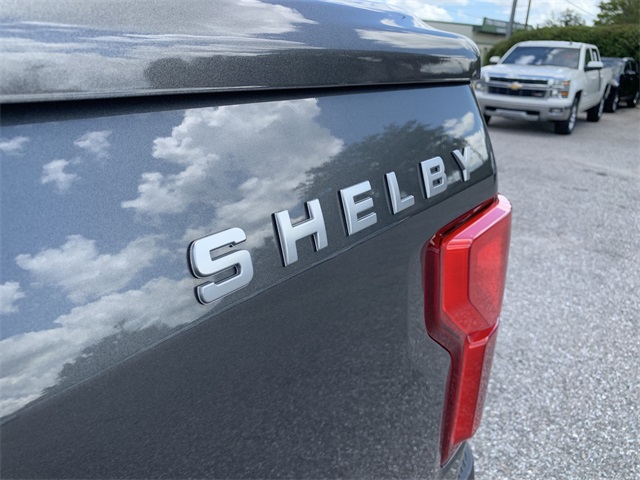 2020 Magnetic Ford F-150 Lariat SHELBY 4X4 Truck