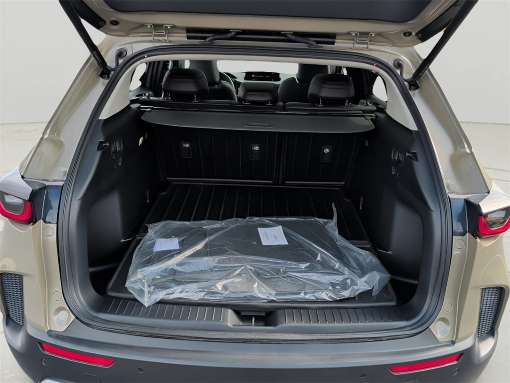 2025 Mazda CX-50 2.5 Turbo Premium Plus photo 9
