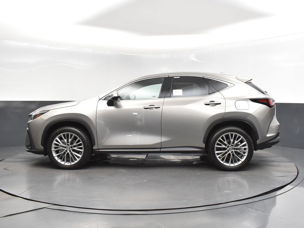 2025 Silver Lexus NX 350 Premium AWD SUV