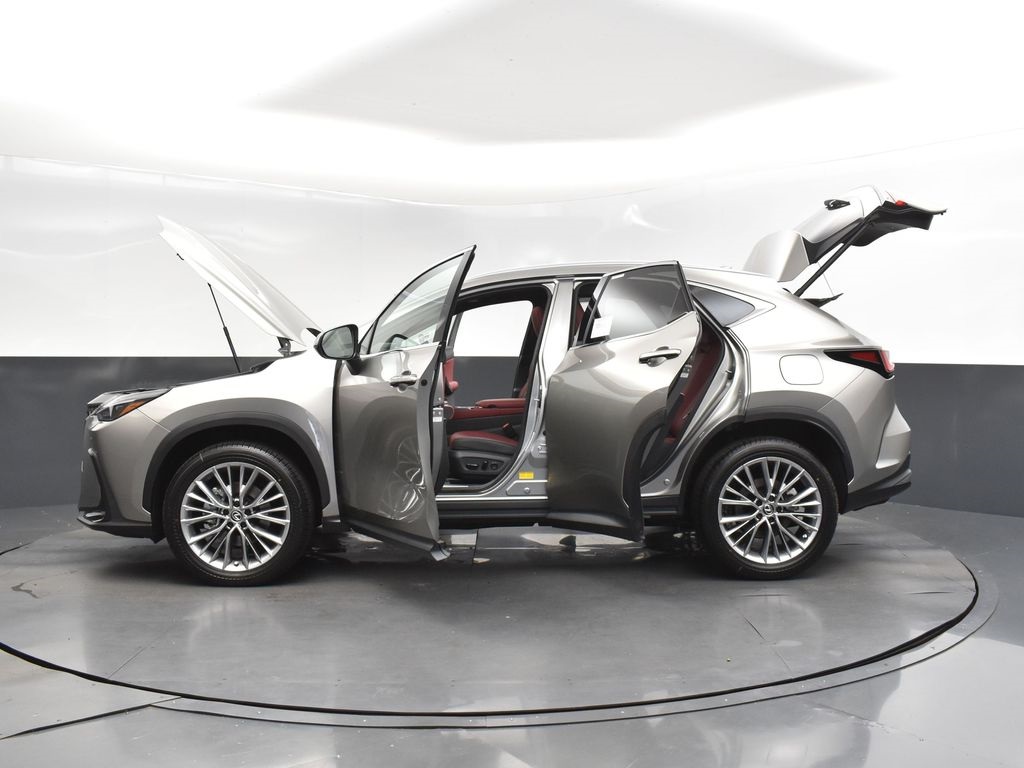 2025 Silver Lexus NX 350 Premium AWD SUV
