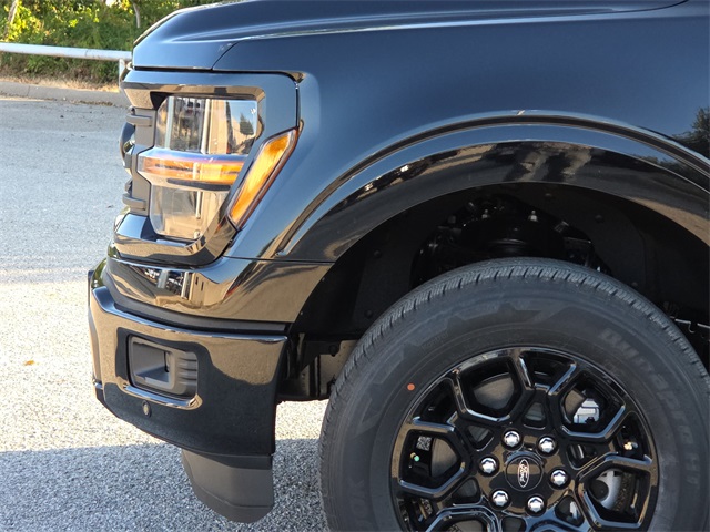 2025 Ford F-150 XLT photo 5