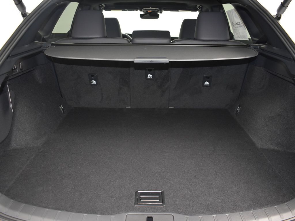 2025 Lexus RX 350 F SPORT AWD photo 15