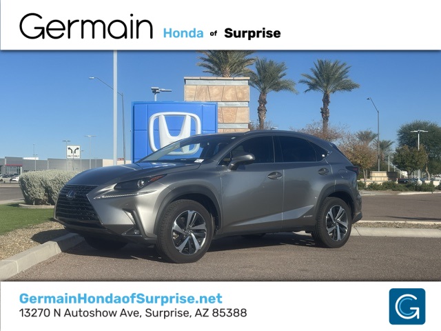 2021 Lexus NX Hybrid 300h's photo