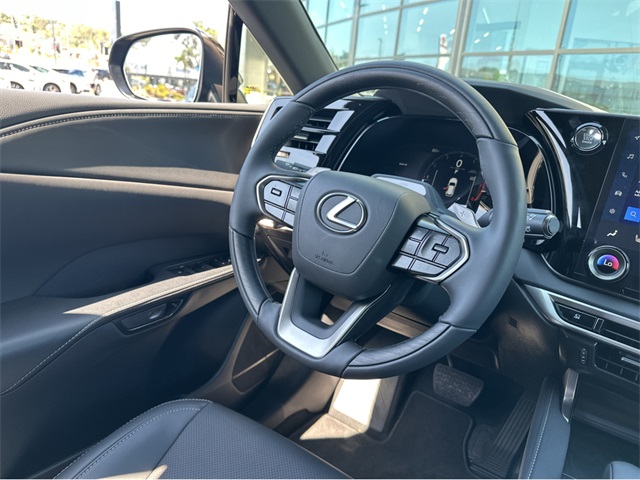 2025 Lexus RX 350 Premium AWD photo 13