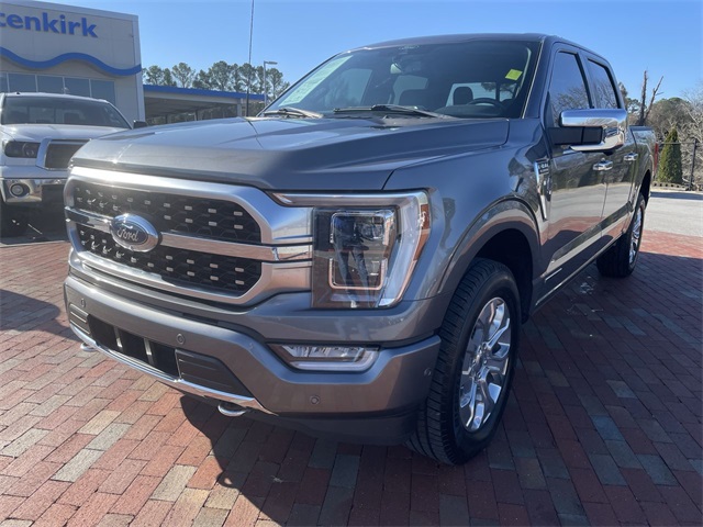 2021 Ford F-150 Platinum's photo