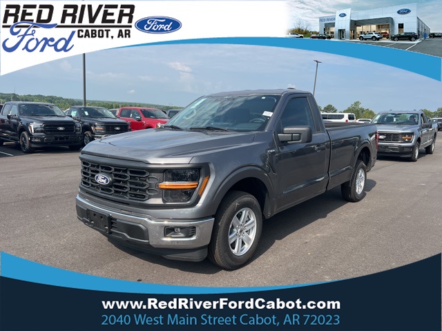 2025 Carbonized Gray Metallic Ford F-150 XL Truck