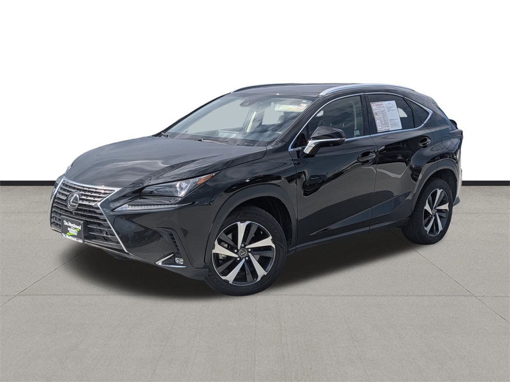 2021 Lexus NX 300's photo