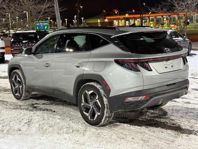 used 2024 Hyundai Tucson Hybrid car, priced at $31,317