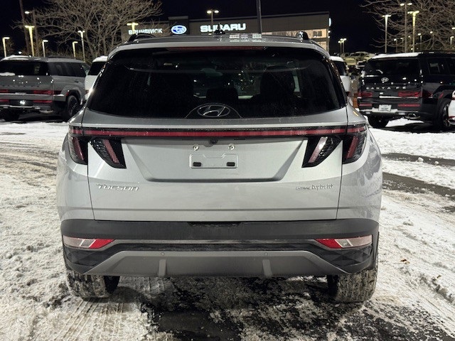 used 2024 Hyundai Tucson Hybrid car, priced at $31,317