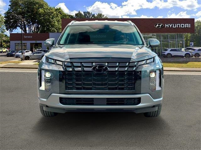 Palisade SEL