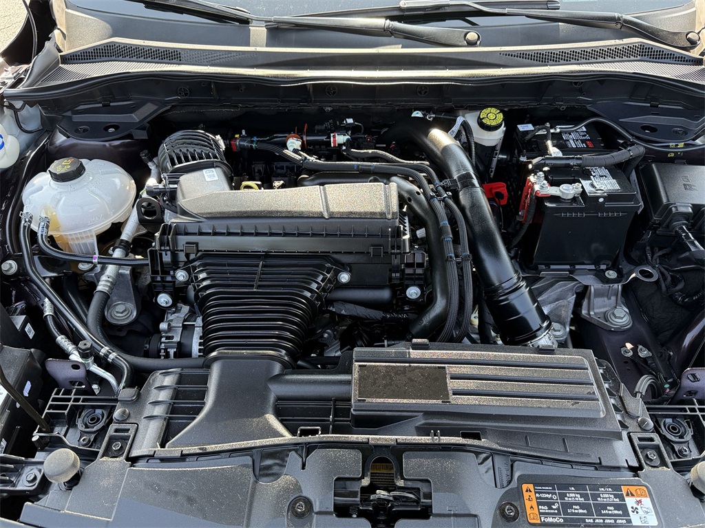 Image-10