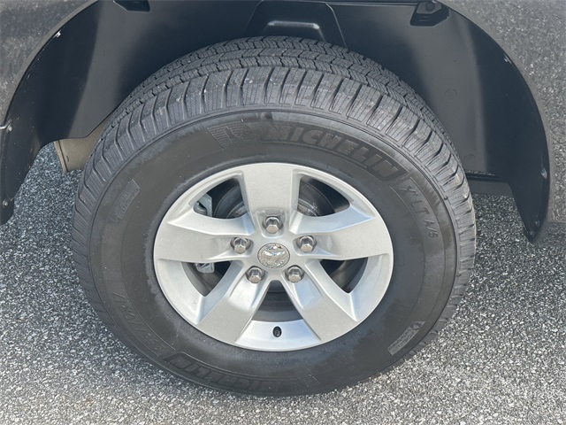 Image-15