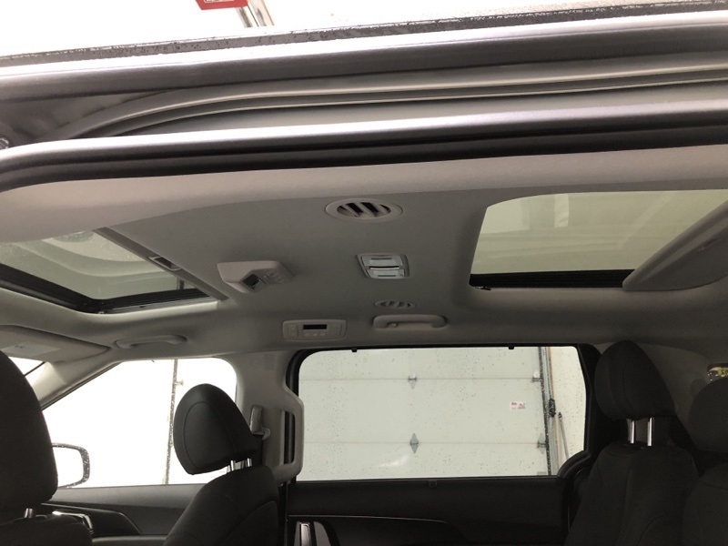 2026 Kia Carnival SX Prestige photo 19
