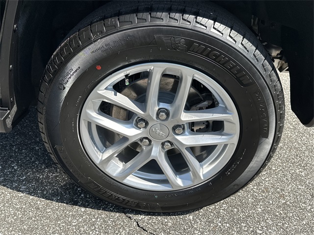 Image-19