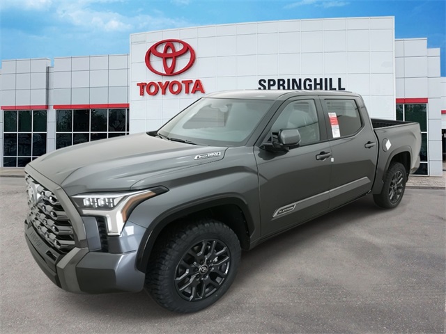 2025 Toyota Tundra Platinum's photo