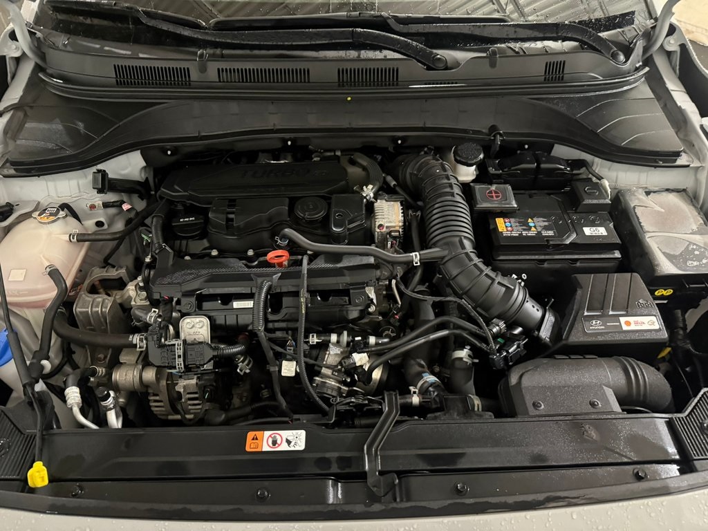 used 2023 Hyundai Kona car, priced at $22,979