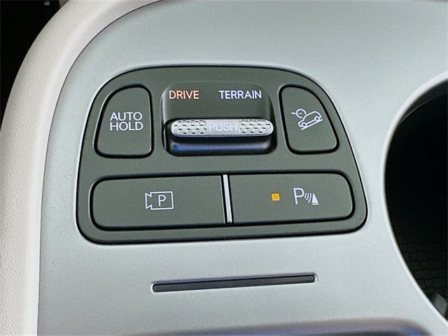 IONIQ 9 SEL