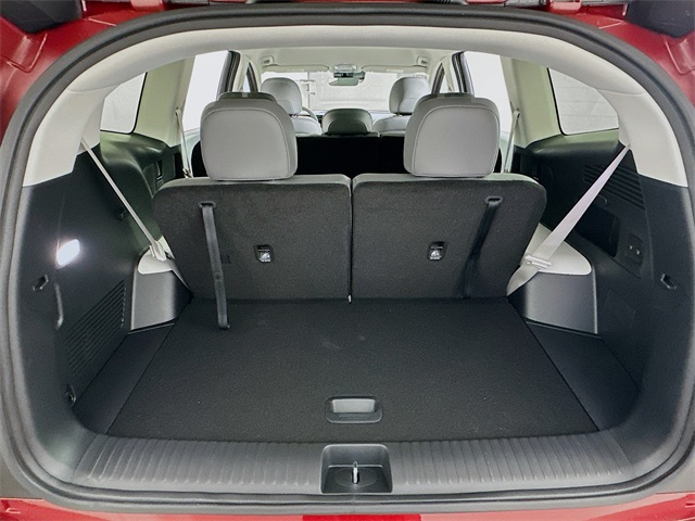 IONIQ 9 SEL