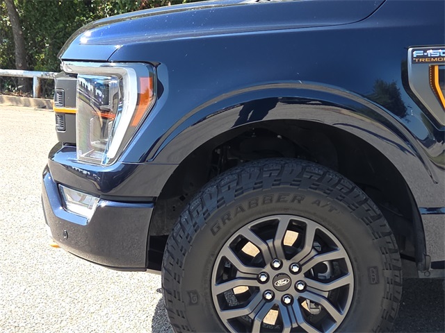 2022 Ford F-150 Tremor photo 5