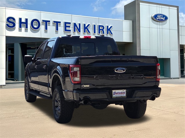 2022 Ford F-150 Tremor photo 6