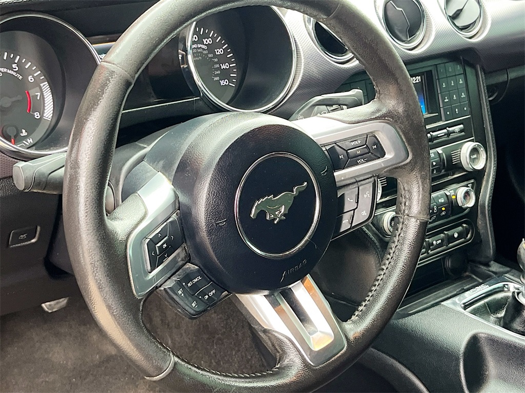 2015 Ford Mustang GT photo 10