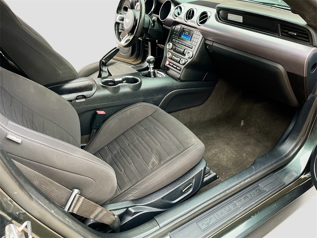 2015 Ford Mustang GT photo 18