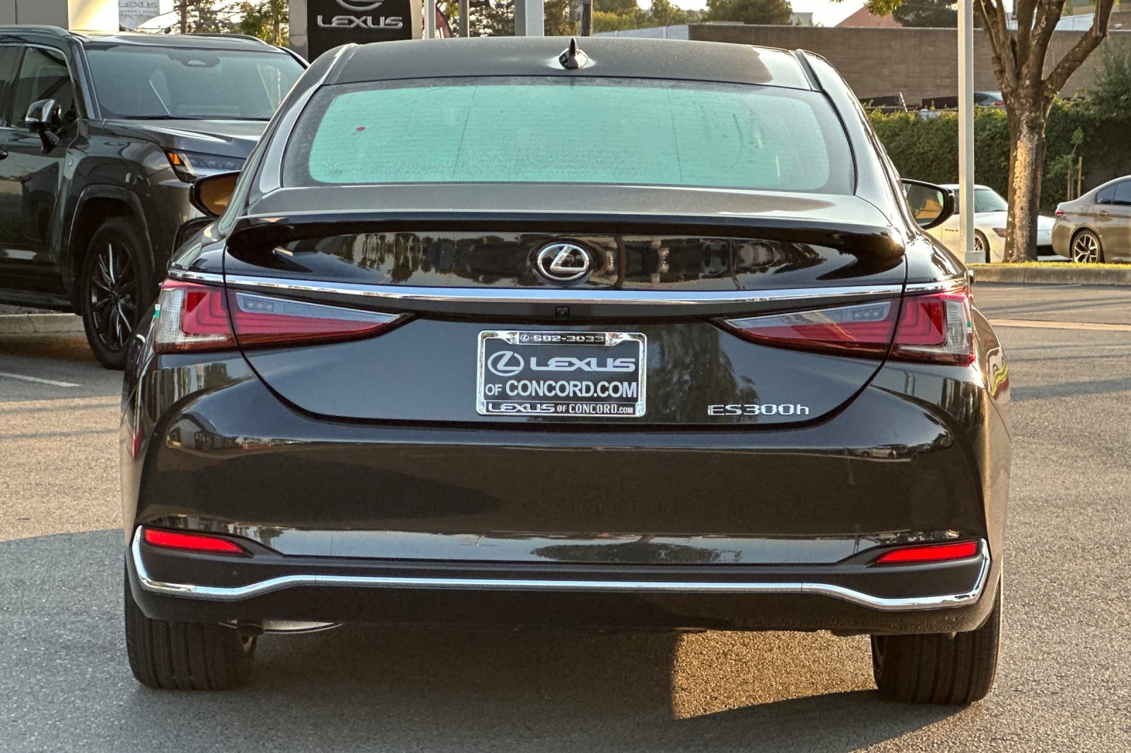 2025 Lexus ES 300h photo 5