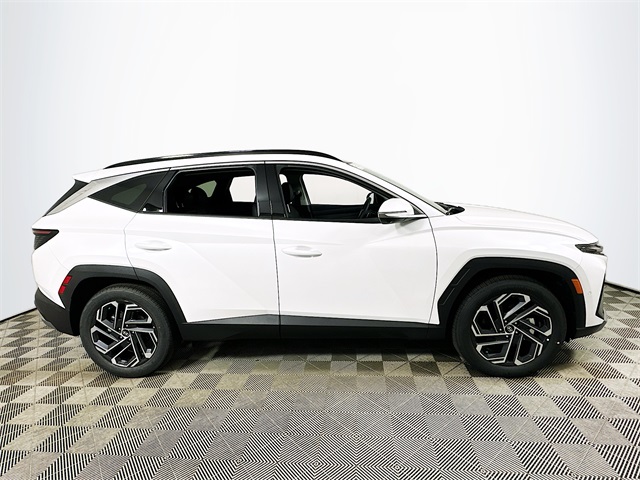 Tucson Limited