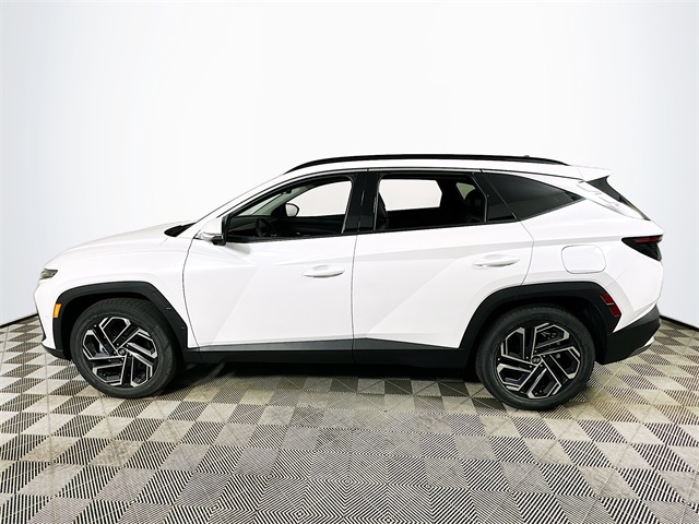 Tucson Limited