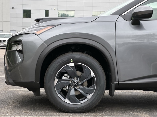 Rogue SV