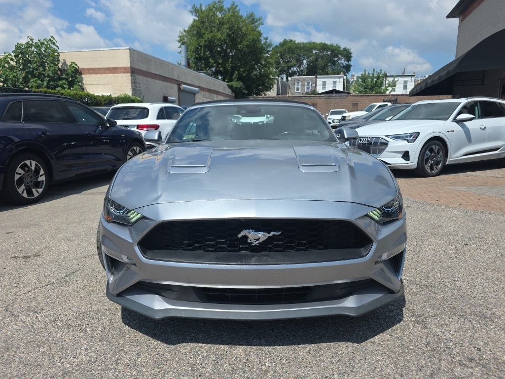 used 2021 Ford Mustang car, priced at $19,895