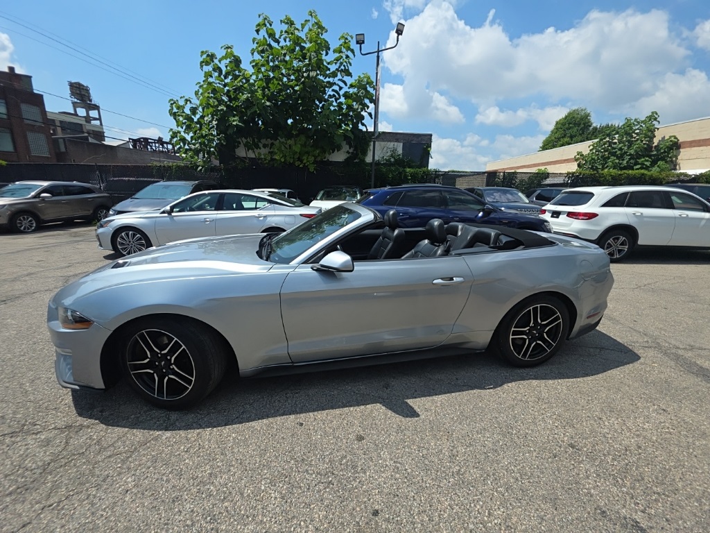 used 2021 Ford Mustang car, priced at $19,895