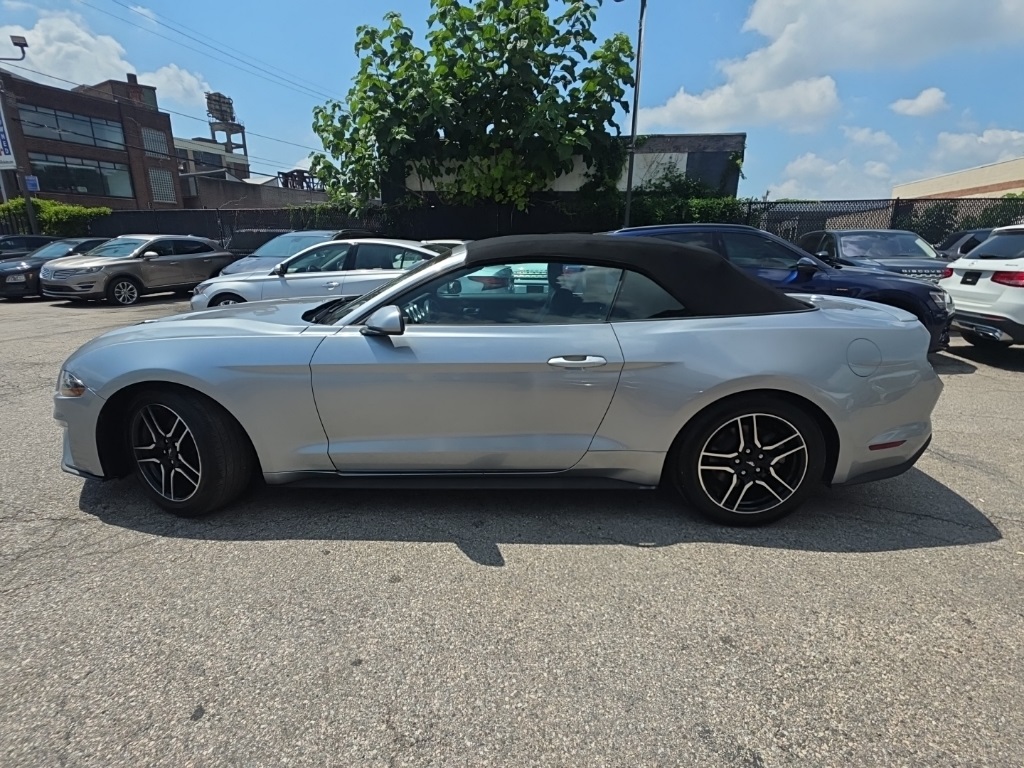 used 2021 Ford Mustang car, priced at $19,895