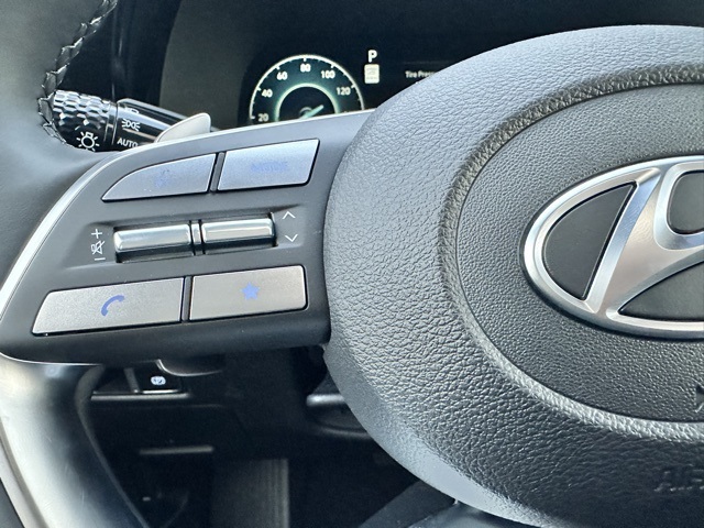 2025 Hyundai Palisade Calligraphy photo 14