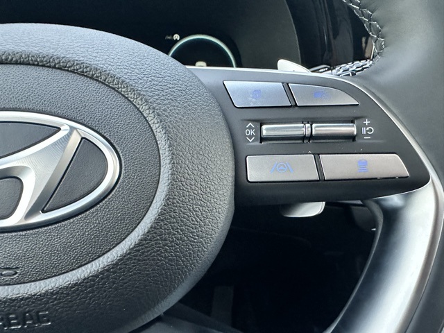 2025 Hyundai Palisade Calligraphy photo 15