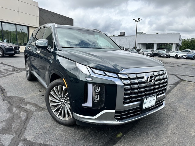 2025 Hyundai Palisade Calligraphy photo 3